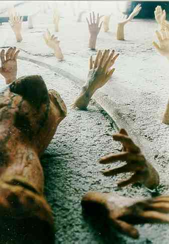 Hands (16.5k)